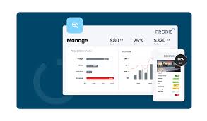 Business professional at a desktop computer using the best technology expense management software